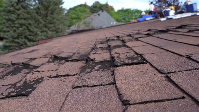 Best Roof Coating and Sealing  in Graton, CA
